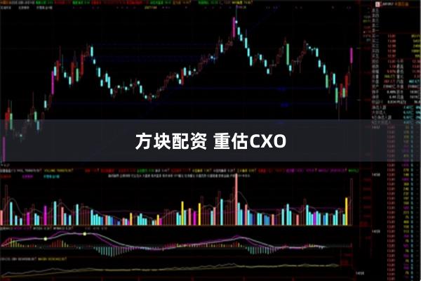 方块配资 重估CXO